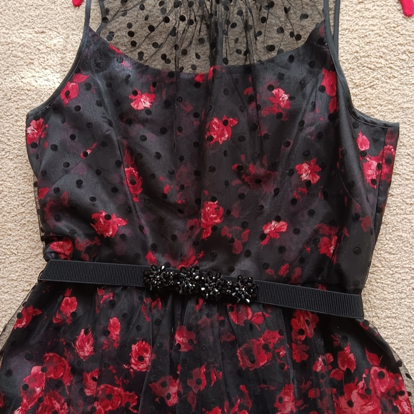 Black and Red Floral Dress - Picture 2 of 11